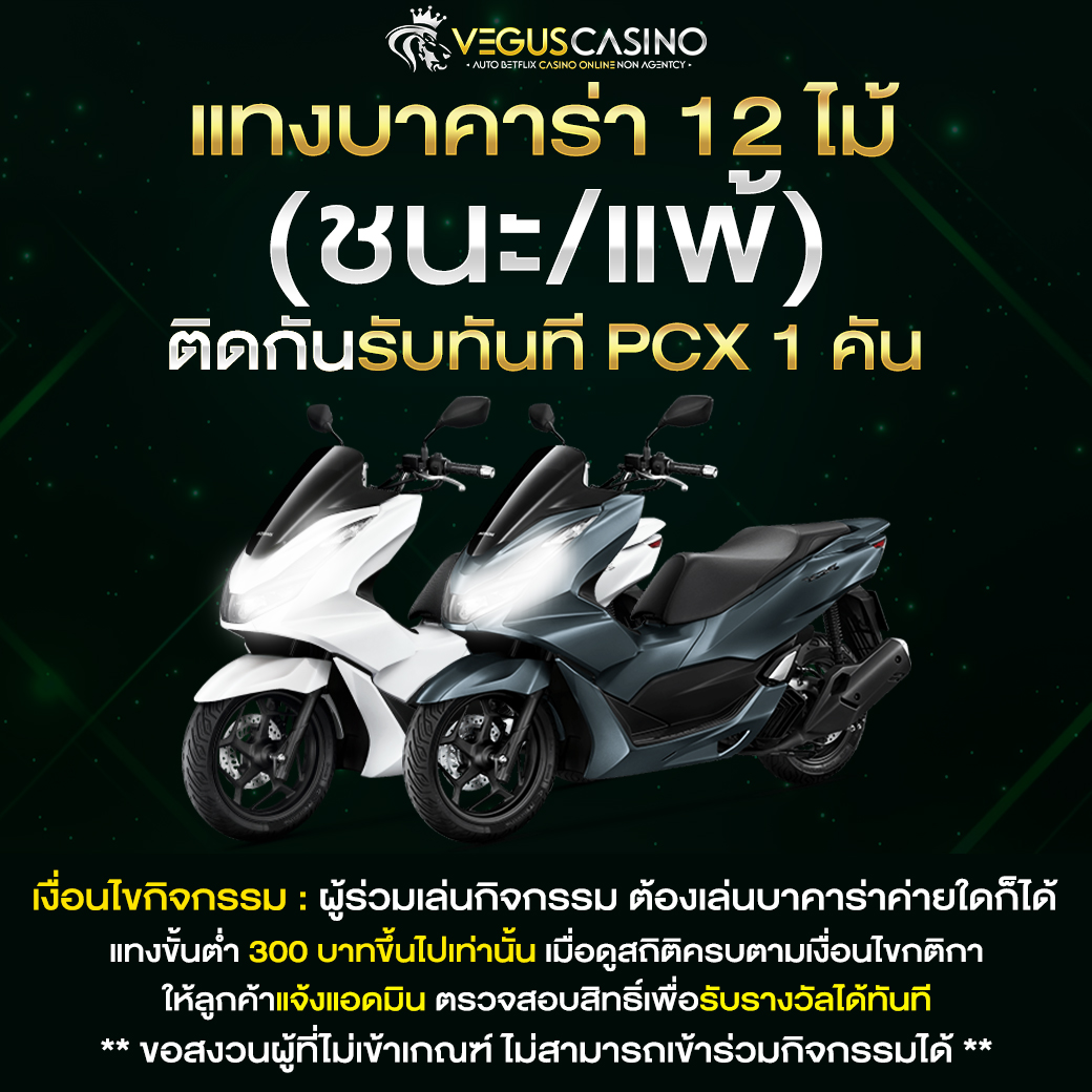 แทงบาคาร่า 12 ไม้ติดกัน รับ pcx 1 คัน