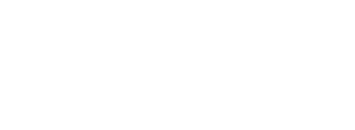 true money wallet